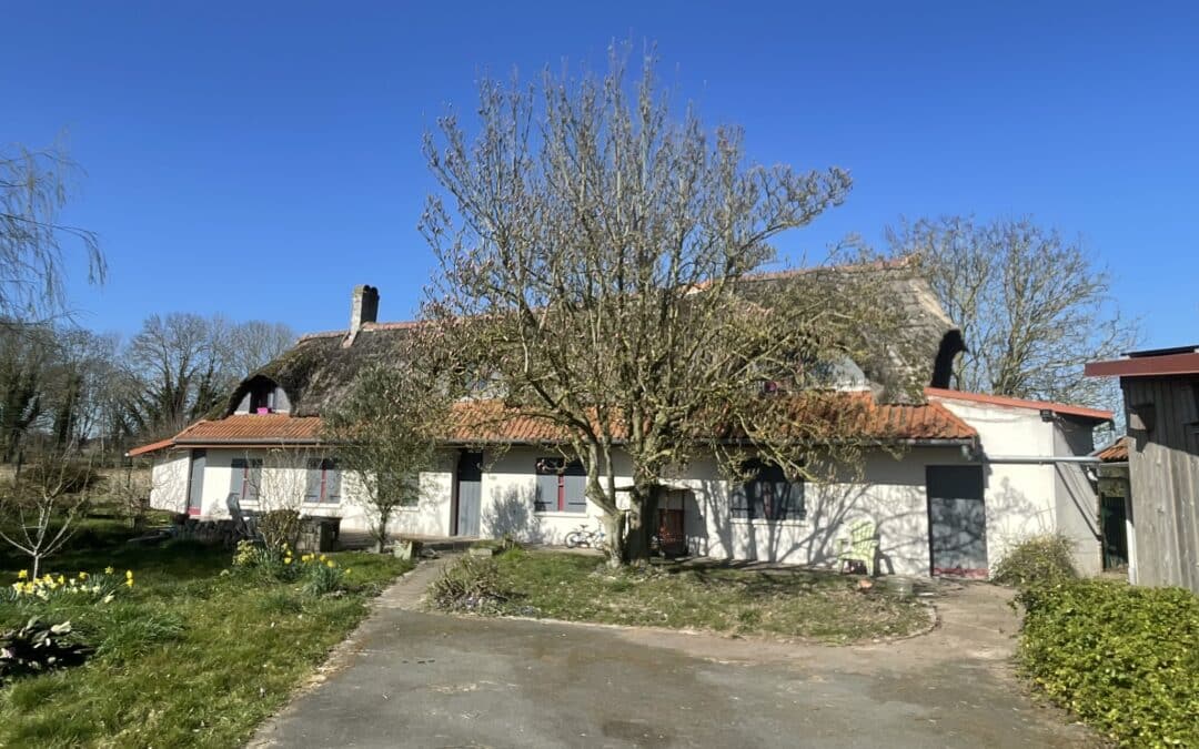 Chaumière sur Morbecque Ref 459
